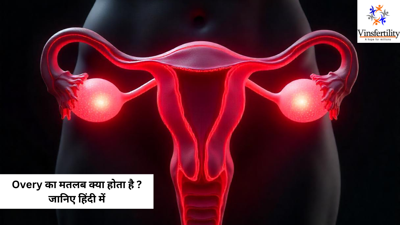 ओवेरी मीनिंग इन हिंदी